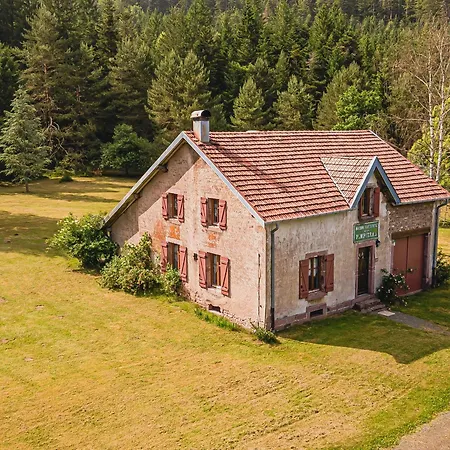 Charmante Maison Forestiere, 3 Chambres, Activites Nature, Proche Gerardmer Et Epinal. - Fr-1-589-636 Feriehus