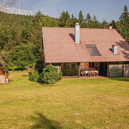 Feriehus Charmante Maison Forestiere, 3 Chambres, Activites Nature, Proche Gerardmer Et Epinal. - Fr-1-589-636 Biffontaine