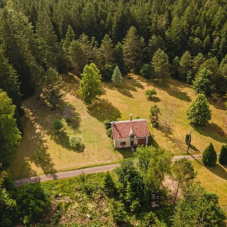 Charmante Maison Forestiere, 3 Chambres, Activites Nature, Proche Gerardmer Et Epinal. - Fr-1-589-636 Biffontaine